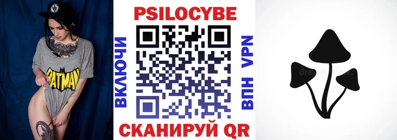 Псилоцибиновые грибы Psilocybine cubensis  Бузулук 
